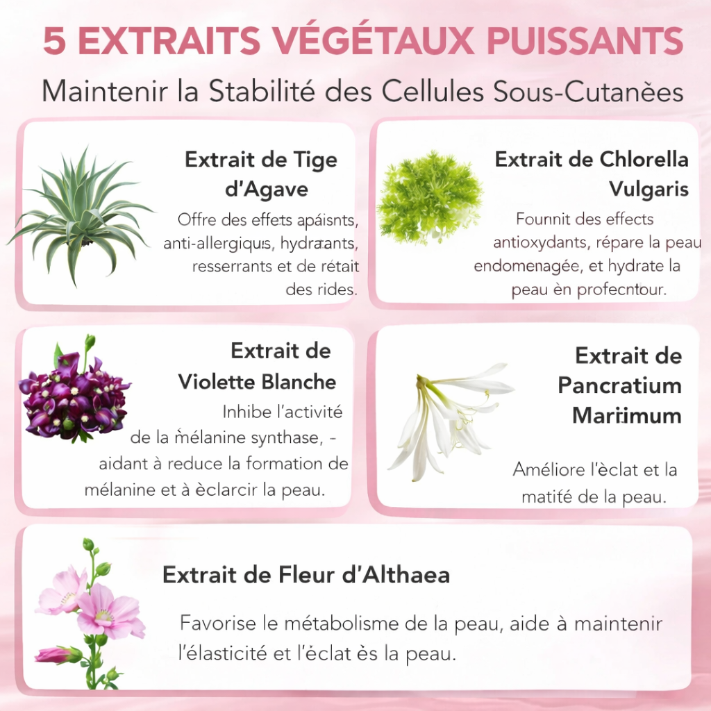 Aliver – Masque de Nuit Enveloppeur au Collagène