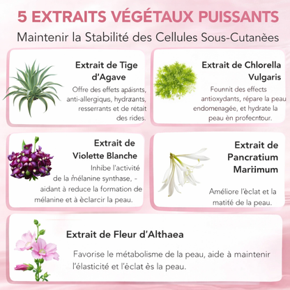 Aliver – Masque de Nuit Enveloppeur au Collagène